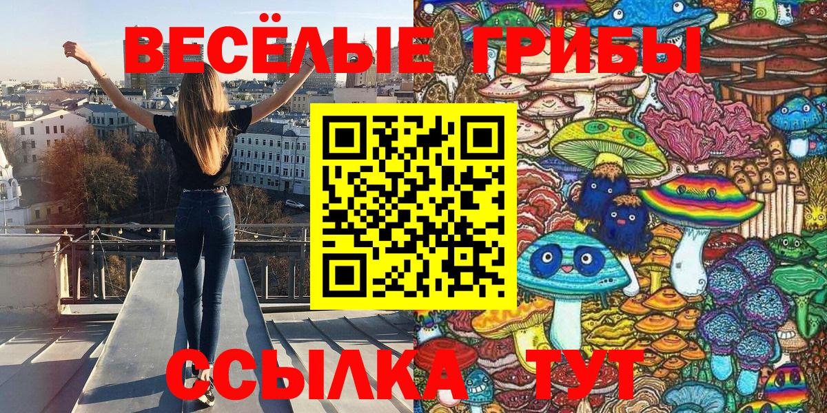 Галлюциногенные грибы GOLDEN TEACHER  наркотики  Лосино-Петровский  Вход с VPN 